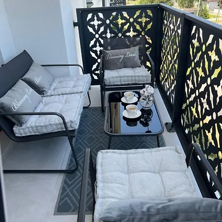 Luxe Living Modern *